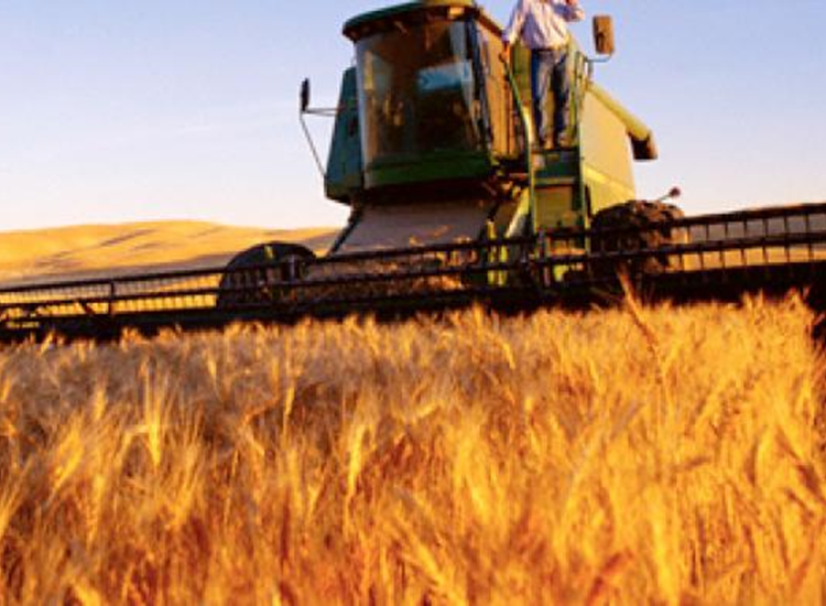 grain-russian-stabilize-exports.si2 grain-russian-stabilize-exports.si2