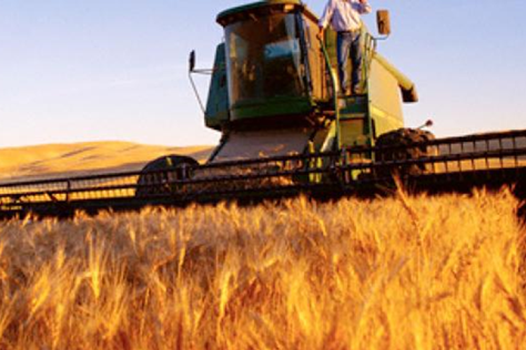 grain-russian-stabilize-exports.si3 grain-russian-stabilize-exports.si3